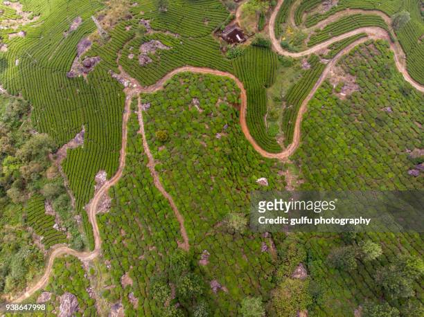 munnar tea plantation area and  road aerial view - kerala waterfall stock pictures, royalty-free photos & images