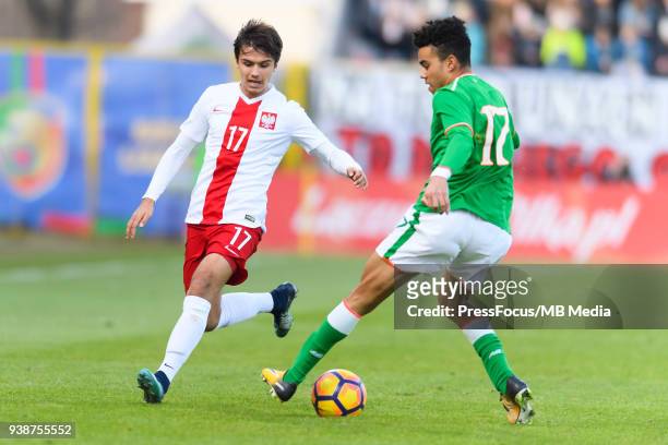 Patryk Richert of Poland competes with Samuel Wright of Republic of Ireland during UEFA Under-17 Championship Elite Round Group 3 match between...