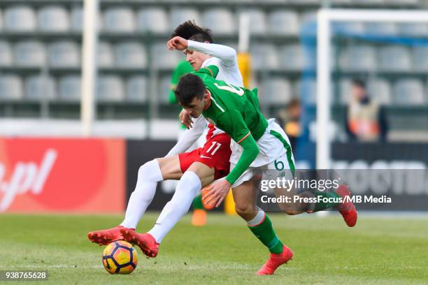 Olaf Kobacki of Poland competes with Jason Knight of Republic of Ireland during UEFA Under-17 Championship Elite Round Group 3 match between Poland...