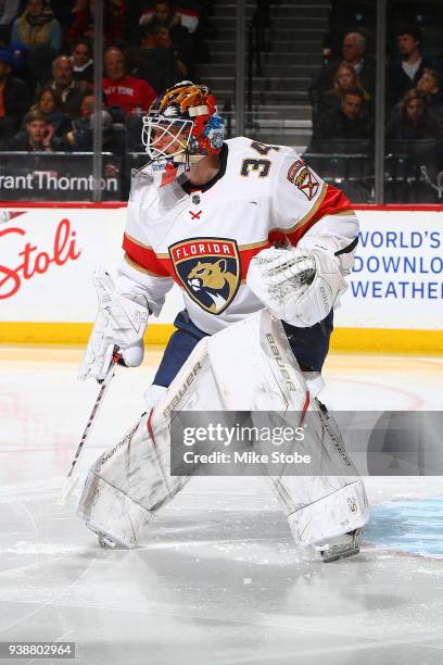 James Reimer of the Florida Panthers skates against the New York Islanders at Barclays Center on March 26, 2018 in New York City. Florida Panthers...