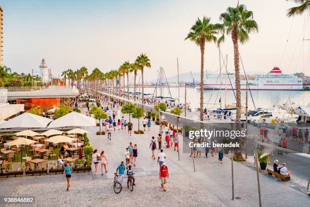 palm tree lined promenade in downtown malaga spain - costa-del-sol-málaga-province stock pictures, royalty-free photos & images