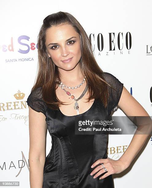Actress Rachael Leigh Cook arrives at Fred Segal's Green Holiday charity event at Fred Segal on December 3, 2009 in Santa Monica, California.