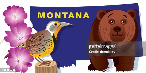 montana symbols - portulaca stock illustrations