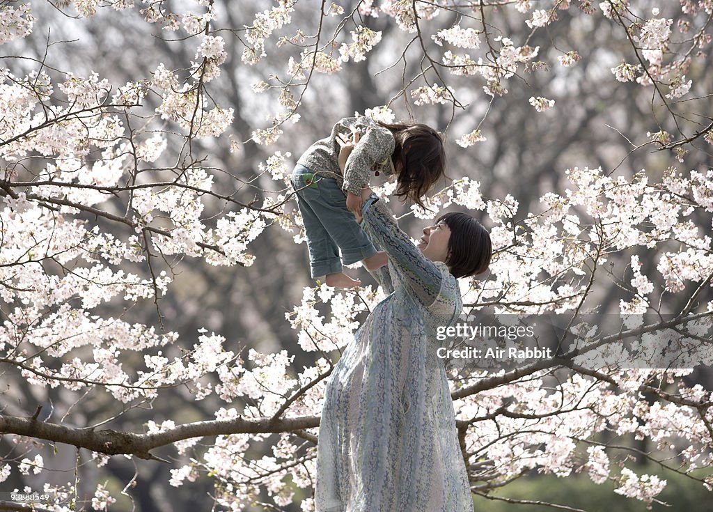 Daughter and pregnant woman under cherry blossoms 