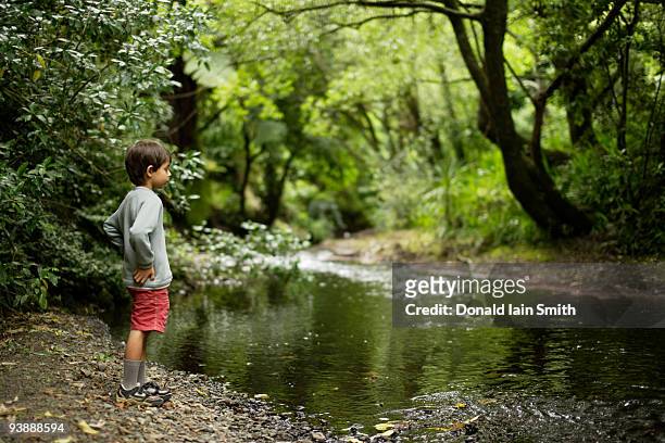 boy at woodland stream. - palmerston stock pictures, royalty-free photos & images