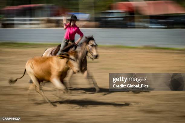 rodeo - brasilien (rodeio crioulo) - prenda stock-fotos und bilder