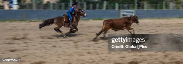 rodeo - brazilië (rodeio crioulo) - prenda stockfoto's en -beelden