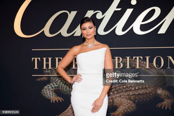 Thandi Pheonix attends the Cartier: The Exhibition Black Tie Dinner at the National Gallery of Australia on March 27, 2018 in Canberra, Australia.