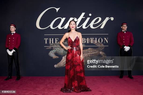Nicole Warne of Gary Pepper Girl attends the Cartier: The Exhibition Black Tie Dinner at the National Gallery of Australia on March 27, 2018 in...