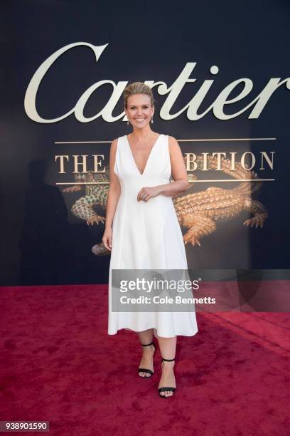 Edwina Bartholomew attends the Cartier: The Exhibition Black Tie Dinner at the National Gallery of Australia on March 27, 2018 in Canberra, Australia.