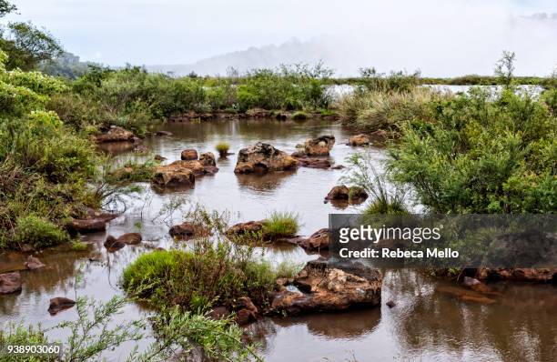 the riverbed of iguazu river with many eroded stones - argentina devils throat stockfoto's en -beelden