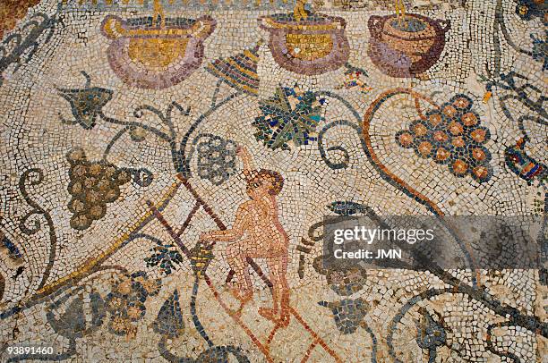 merida, roman mosaic - merida spain stock pictures, royalty-free photos & images