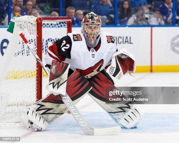 Goalie Antti Raanta of the Arizona Coyotes skates against the Tampa Bay Lightning at Amalie Arena on March 26, 2018 in Tampa, Florida. "n