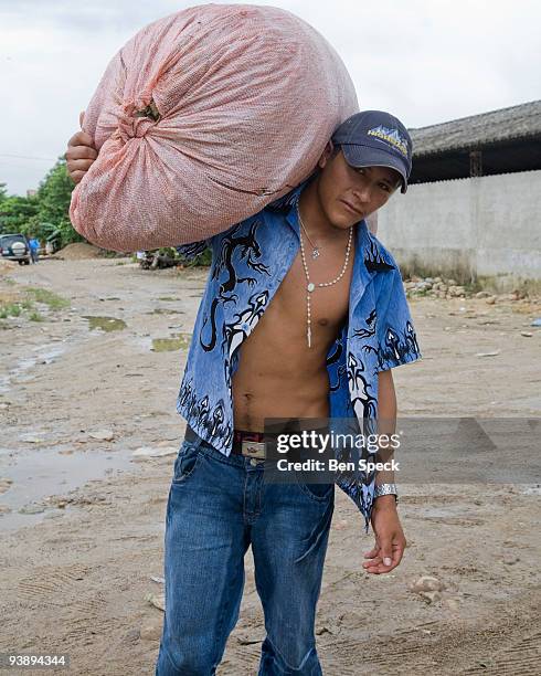Boy bringing sack of coca leafs to the local market.