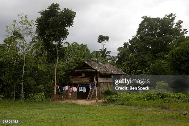 The home of a coca farmer's family.