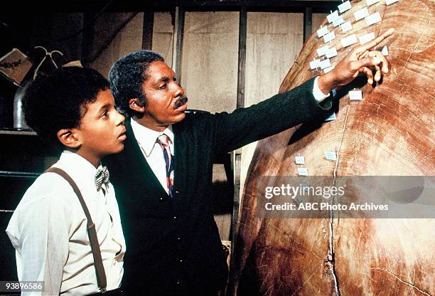 Walt Disney Television via Getty Images MINISERIES - "ROOTS: THE NEXT GENERATION" - Feb. 18-Feb. 25 This 1979 sequel to the 1977 Walt Disney...