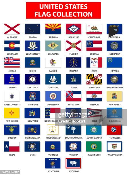 united states flag collection - complete - florida v arkansas stock illustrations