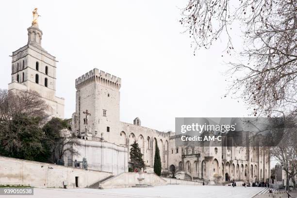 papal palace of avignon at place du palais . - french pope stock pictures, royalty-free photos & images