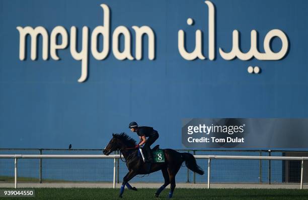Poet's Word in action during track work day prior to Dubai World Cup 2018 at the Meydan Racecourse on March 28, 2018 in Dubai, United Arab Emirates.