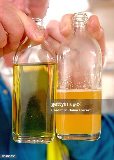 Cod Process Cod Liver Oil Processing Photos and Premium High Res Pictures - Getty ...