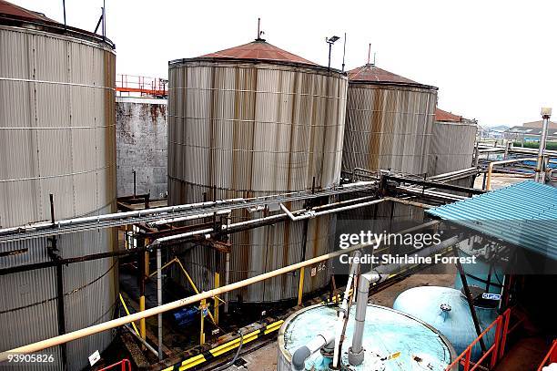 Cod Line Factory Cod Liver Oil Processing Photos and Premium High Res Pictures - Getty ...