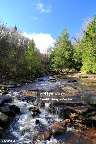 red creek in dolly sods wilderness - monongahela national forest stock-fotos und bilder