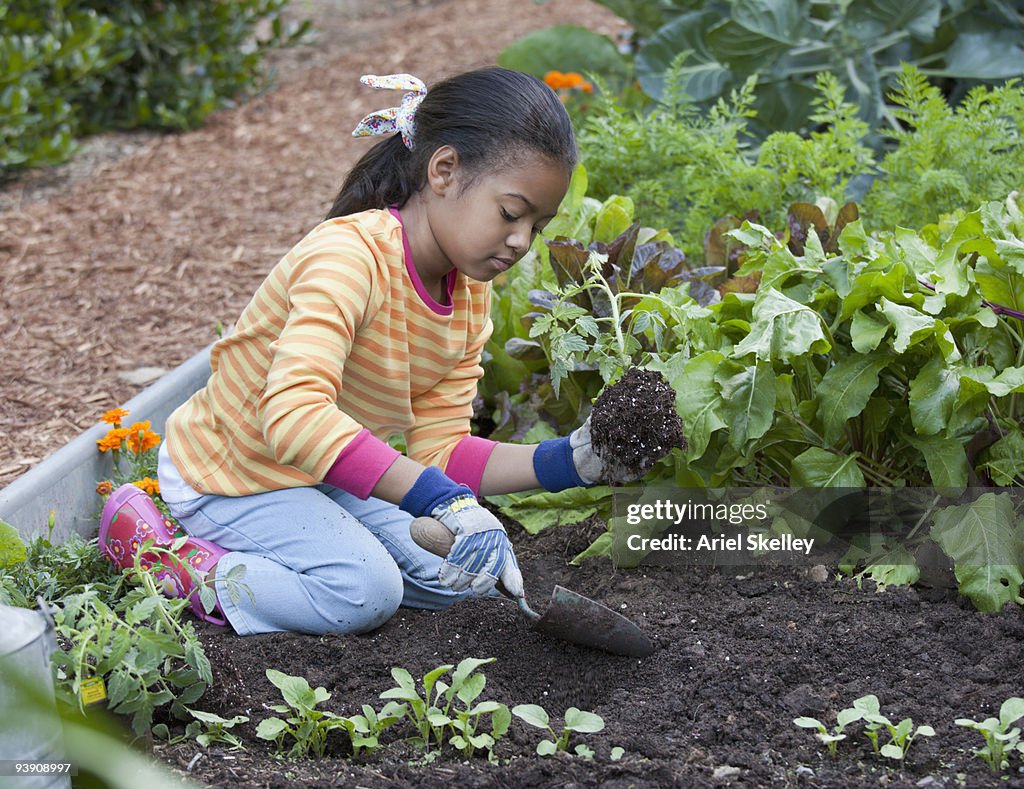 African girl planting in garden