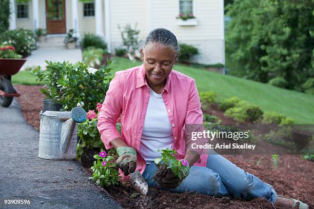 african woman planting flowers in garden - adult woman garden flower stock-fotos und bilder