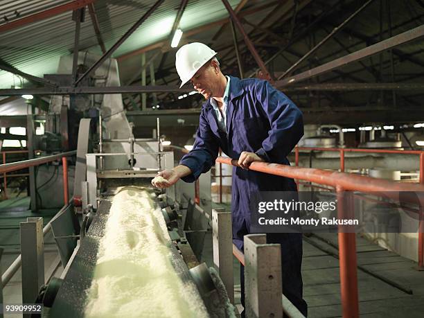 factory worker with processed sugar cane - sugar cane stock pictures, royalty-free photos & images