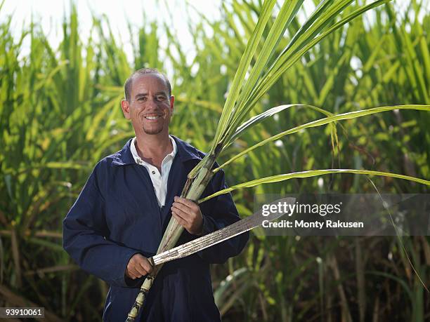 worker with sugar cane and machete - machete photos et images de collection