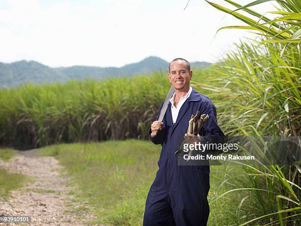 worker with harvested sugar cane - kompetenz bündeln stock-fotos und bilder
