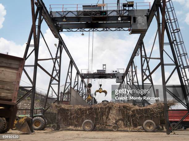 Processed Cane 585 Processing Sugar Cane Stock Photos, High-Res Pictures, and Images ...