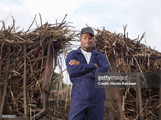 worker in front of harvested sugar cane - kompetenz bündeln stock-fotos und bilder
