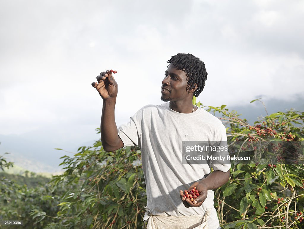 Worker Inspecting Coffee Beans