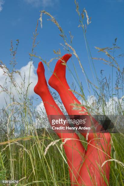 legs in long grass - pied humain photos et images de collection