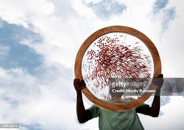 worker sieving coffee beans - passoire photos et images de collection