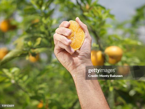 hand squeezing a halved orange - squeezing orange stock pictures, royalty-free photos & images