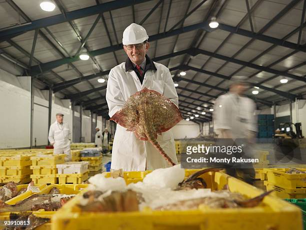 worker holding fish in market - ray fish stockfoto's en -beelden