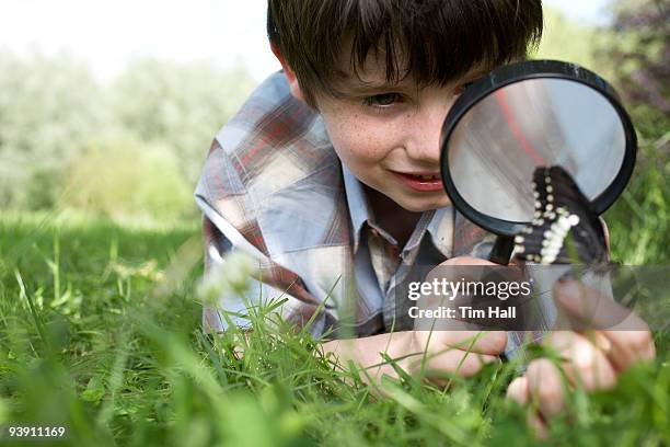 kids in garden - child magnifying glass stock pictures, royalty-free photos & images