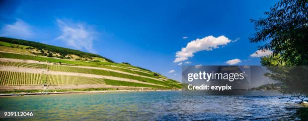 landschap weergave over rheingau / rhin-vallei - rheingau stockfoto's en -beelden