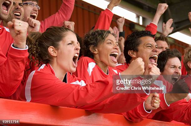 fans celebrating at football match - fans in the front row stock pictures, royalty-free photos & images