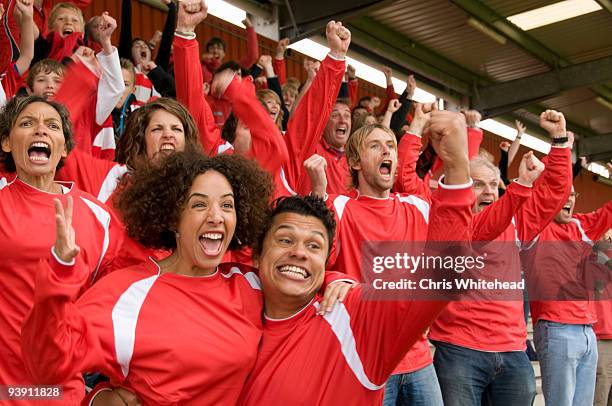 fans celebrating at at football match - futbol fans fotografías e imágenes de stock