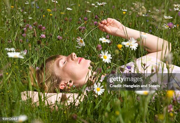 woman lying in grass with spring flowers - frau blumenwiese stock-fotos und bilder