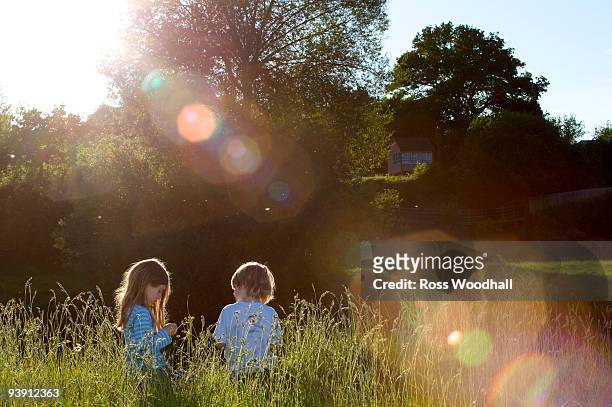 2 young kids sitting in long grass. - ross woodhall stock-fotos und bilder