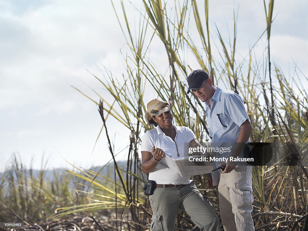 Woman & Man With Clipboard In Sugar Cane