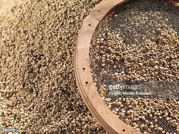 sieve with coffee beans - jamaica coffee stock pictures, royalty-free photos & images