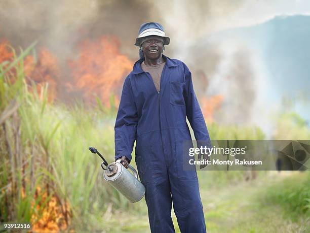 worker in sugar cane field with fire - lata de óleo imagens e fotografias de stock