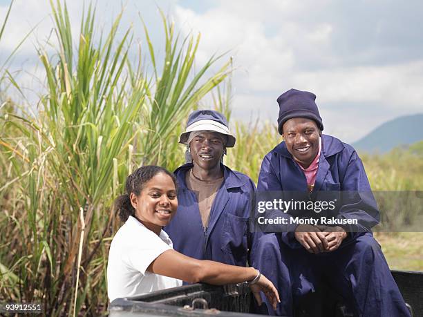 sugar cane workers in pickup truck - agriculture sugar cane stock pictures, royalty-free photos & images