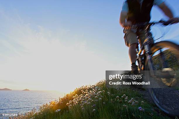 mountain biker on a coastal track. - ross woodhall stock-fotos und bilder