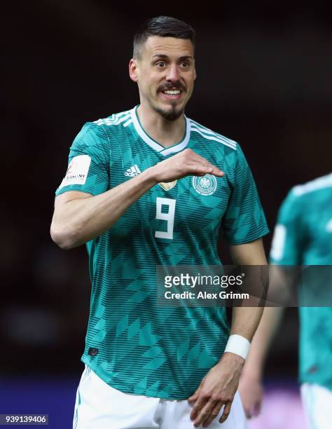 Sandro Wagner of Germany reacts during the international friendly match between Germany and Brazil at Olympiastadion on March 27, 2018 in Berlin,...